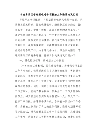 市商务局关于违规吃喝专项整治工作进展情况汇报