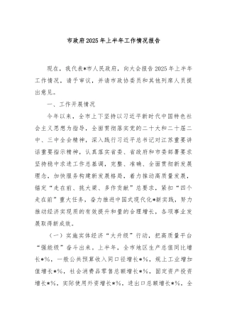 市政府2025年上半年工作情况报告