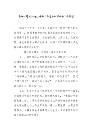 县审计局2025年上半年工作总结和下半年工作计划