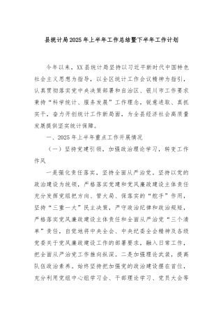 县统计局2025年上半年工作总结暨下半年工作计划