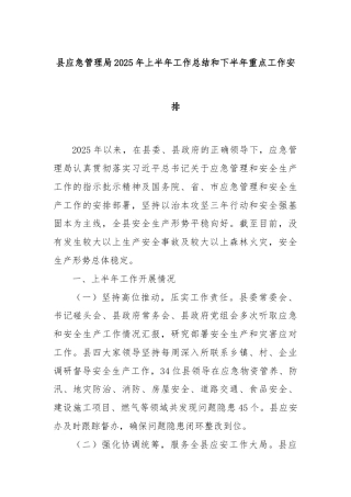县应急管理局2025年上半年工作总结和下半年重点工作安排