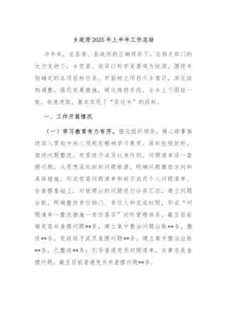 乡政府2025年上半年工作总结