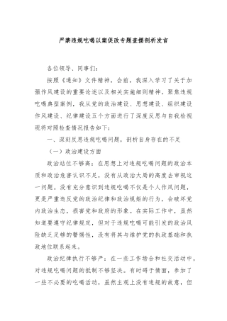 严禁违规吃喝以案促改专题查摆剖析发言