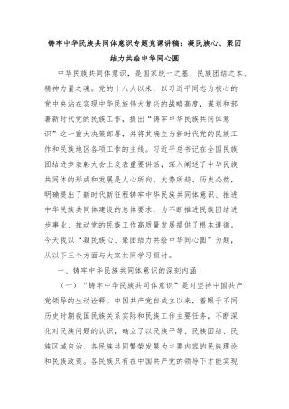 铸牢中华民族共同体意识专题党课讲稿：凝民族心、聚团结力共绘中华同心圆