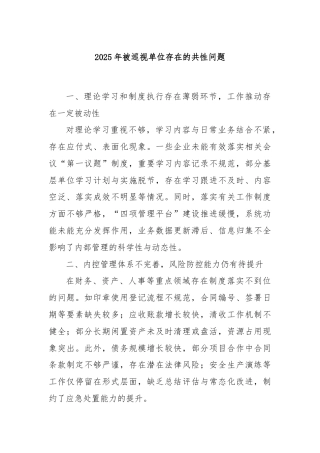 2025年被巡视单位存在的共性问题
