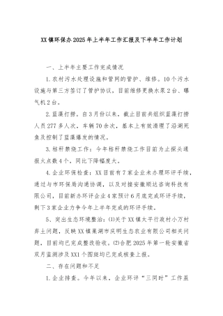 XX镇环保办2025年上半年工作汇报及下半年工作计划