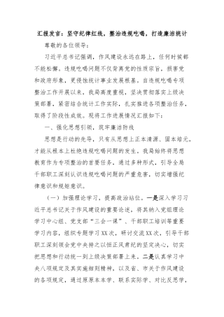 汇报发言：坚守纪律红线，整治违规吃喝，打造廉洁统计