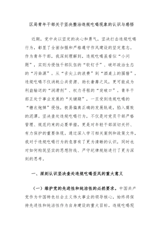 区局青年干部关于坚决整治违规吃喝现象的认识与感悟