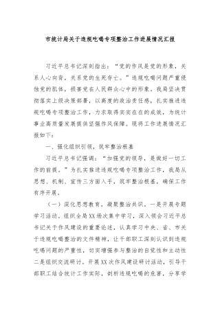 市统计局关于违规吃喝专项整治工作进展情况汇报