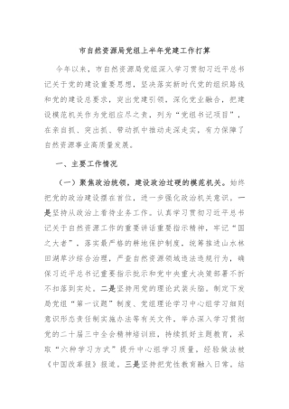 市自然资源局党组上半年党建工作打算