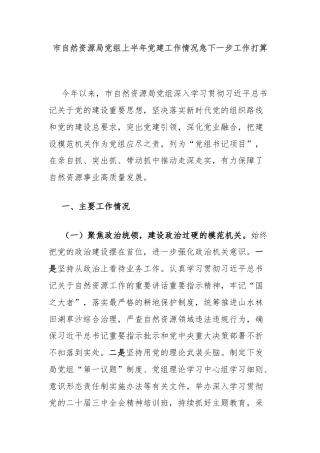 市自然资源局党组上半年党建工作情况及下一步工作打算