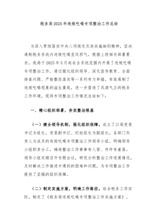 税务局2025年违规吃喝专项整治工作总结