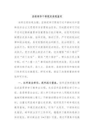 县级领导干部现实表现鉴定
