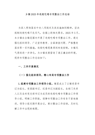 乡镇2025年违规吃喝专项整治工作总结