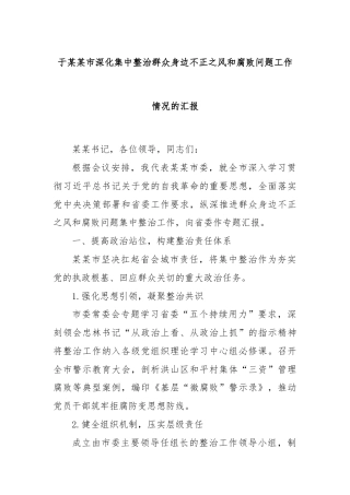 于某某市深化集中整治群众身边不正之风和腐败问题工作情况的汇报