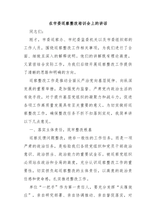 在市委巡察整改培训会上的讲话