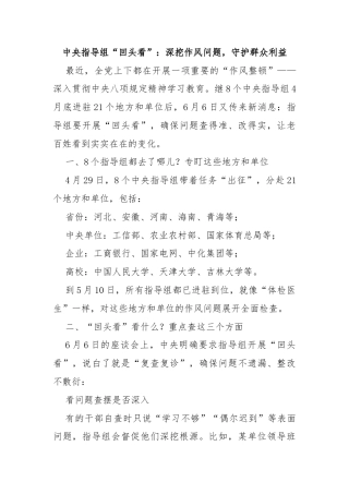 中央指导组“回头看”：深挖作风问题，守护群众利益