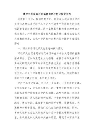 铸牢中华民族共同体意识学习研讨发言材料