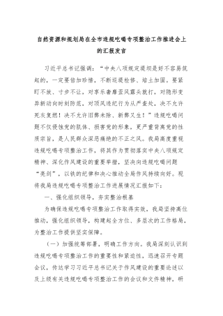 自然资源和规划局在全市违规吃喝专项整治工作推进会上的汇报发言