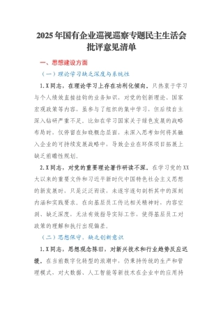 2025年国有企业巡视巡察专题民主生活会批评意见清单