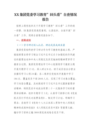 XX集团党委学习教育”回头看”自查情况报告