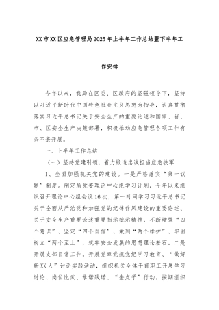 XX市XX区应急管理局2025年上半年工作总结暨下半年工作安排