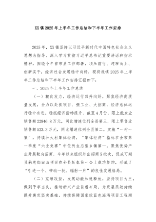 XX镇2025年上半年工作总结和下半年工作安排