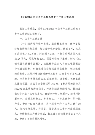 XX镇2025年上半年工作总结暨下半年工作计划