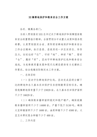 XX镇耕地保护和粮食安全工作方案