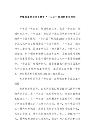 发挥制度协同力是做好“十五五”规划的重要原则