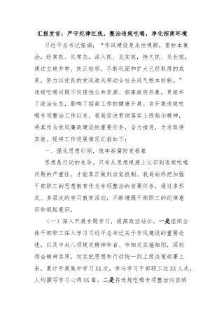 汇报发言：严守纪律红线，整治违规吃喝，净化招商环境