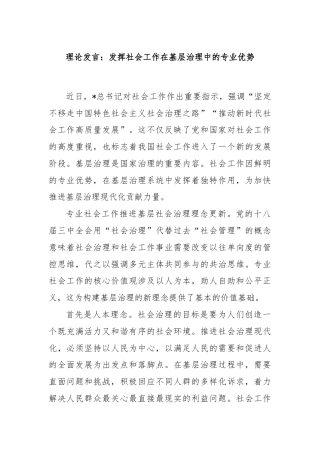 理论发言：发挥社会工作在基层治理中的专业优势