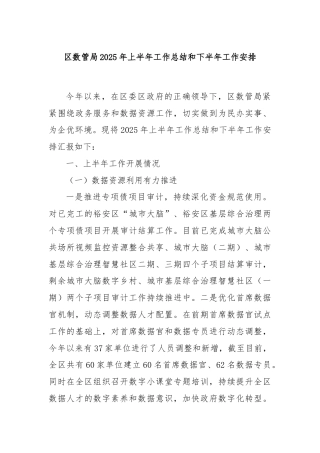 区数管局2025年上半年工作总结和下半年工作安排