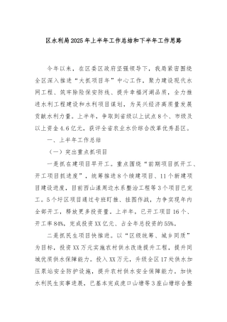 区水利局2025年上半年工作总结和下半年工作思路