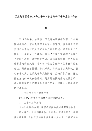 区应急管理局2025年上半年工作总结和下半年重点工作安排