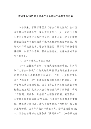 市城管局2025年上半年工作总结和下半年工作思路
