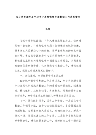 市公共资源交易中心关于违规吃喝专项整治工作进展情况汇报