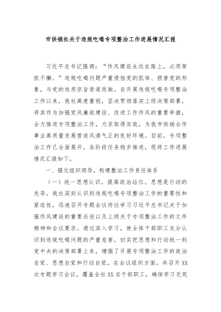 市供销社关于违规吃喝专项整治工作进展情况汇报
