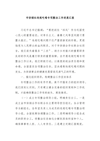 市供销社违规吃喝专项整治工作进展汇报