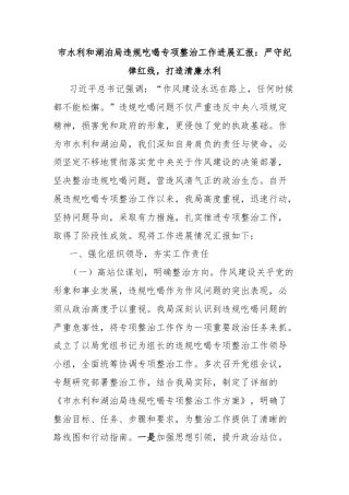 市水利和湖泊局违规吃喝专项整治工作进展汇报：严守纪律红线，打造清廉水利