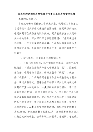 市水利和湖泊局违规吃喝专项整治工作进展情况汇报