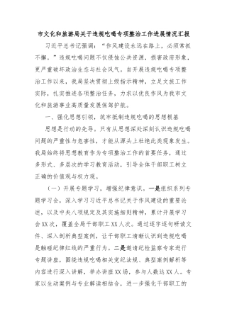 市文化和旅游局关于违规吃喝专项整治工作进展情况汇报