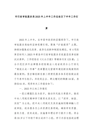市行政审批服务局2025年上半年工作总结及下半年工作打算