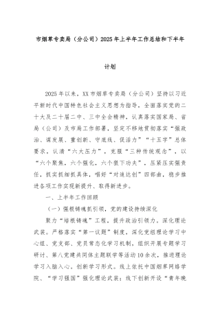 市烟草专卖局（分公司）2025年上半年工作总结和下半年计划