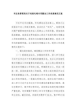 市应急管理局关于违规吃喝专项整治工作进展情况汇报