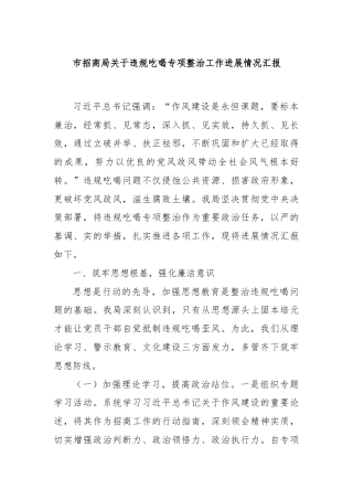 市招商局关于违规吃喝专项整治工作进展情况汇报