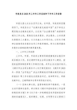 市政务办2025年上半年工作总结和下半年工作安排