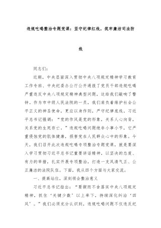 违规吃喝整治专题党课：坚守纪律红线，筑牢廉洁司法防线