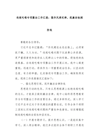 违规吃喝专项整治工作汇报：强作风肃纪律，筑廉洁检测防线