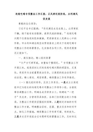 违规吃喝专项整治工作汇报：正风肃纪筑防线，水利清风促发展